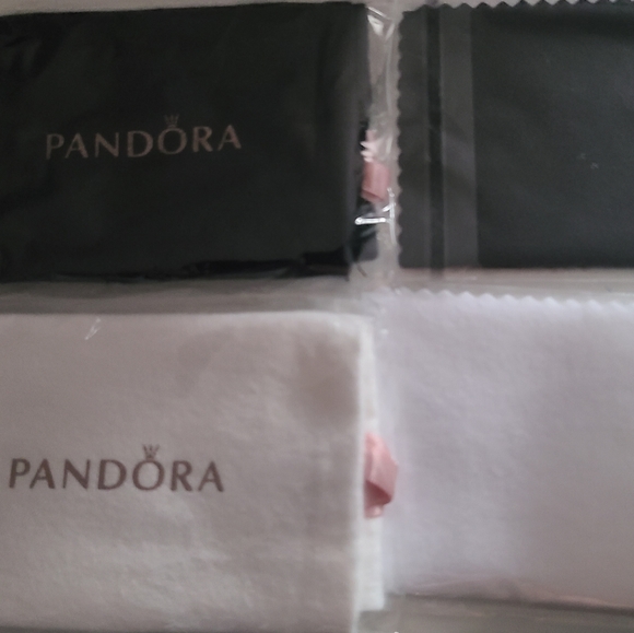 New Pandora Cleaning Kit - Picture 5 of 7